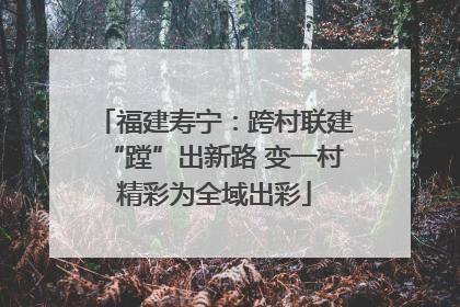 福建寿宁：跨村联建“蹚”出新路 变一村精彩为全域出彩